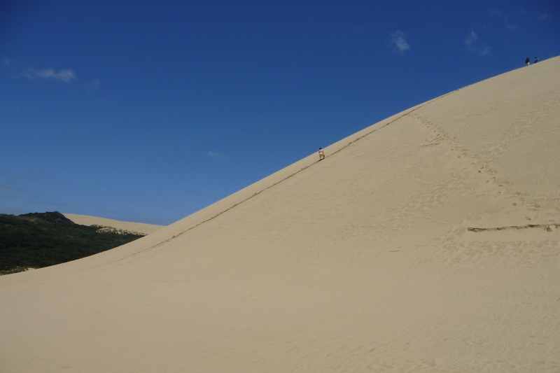 Nieuw-Zeeland 2011 - 0380